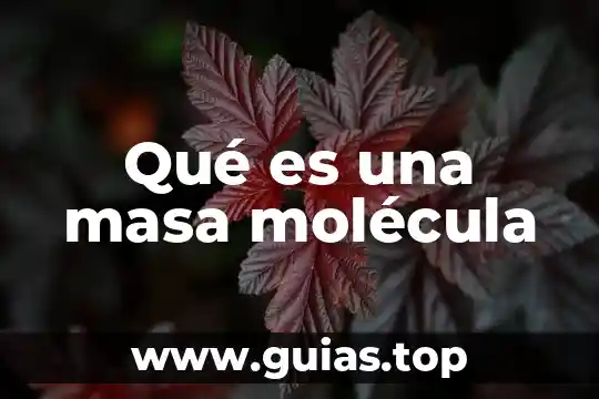Qué es una molécula de una planta 3 Qué es una masa molécula