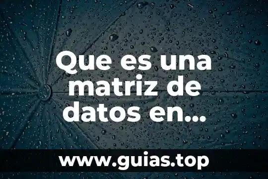 Que es la capa de enlace de datos 5 Que es una matriz de datos en psicometria