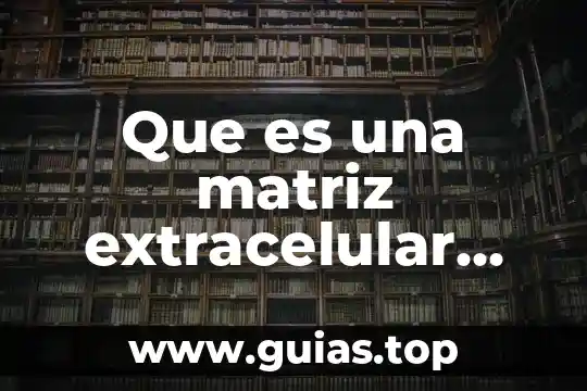 Que es preterito indicativo visitar 5 Que es una matriz extracelular tipos