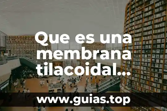 Qué es la membrana plasmática de la célula procariota 3 Que es una membrana tilacoidal definicion