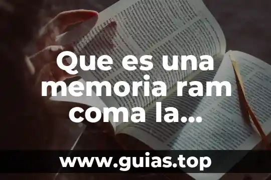 Que es memoria ram en informática y tipos 4 Que es una memoria ram coma la crecerias