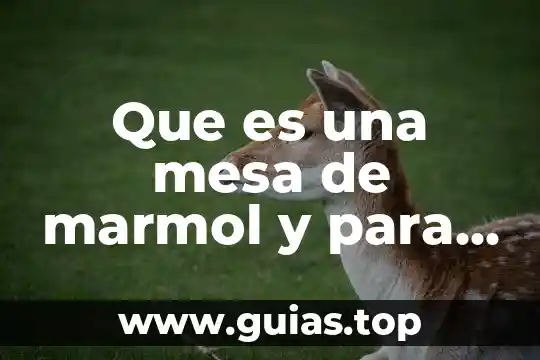 Qué es la lotería juego de mesa 3 Que es una mesa de marmol y para que sirve