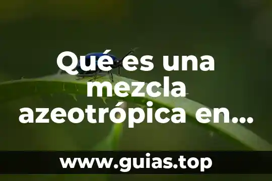 Que es un elemento compuesto y mezcla con ejemplos 7 Qué es una mezcla azeotrópica en química