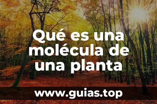Qué es una masa molécula 3 Qué es una molécula de una planta