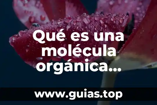 Qué es una molécula de una planta 4 Qué es una molécula orgánica definición