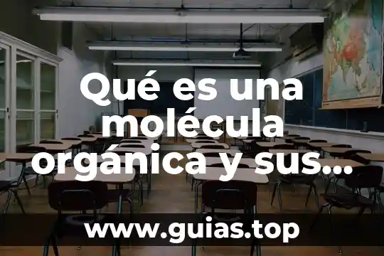 Laboratorio quimica organica que es un agente desecante 6 Qué es una molécula orgánica y sus funciones