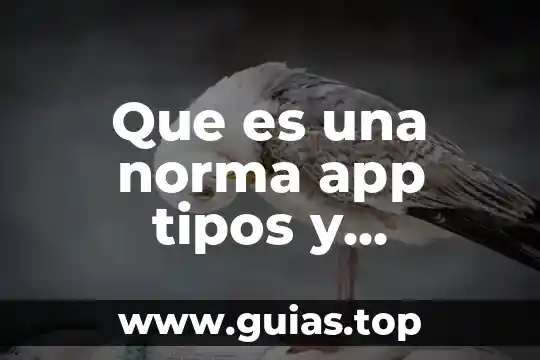 Que es xistencialismo y sus caracteristicas de un triptico 5 Que es una norma app tipos y caracteristicas