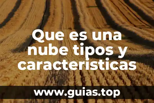 Célula que es que hace partes tipos 5 Que es una nube tipos y caracteristicas