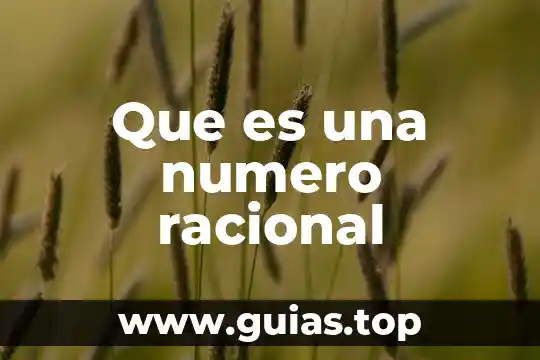 Qué es un número y racional 4 Que es una numero racional