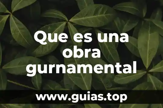 Que es ser persona en potencia 3 Que es una obra gurnamental