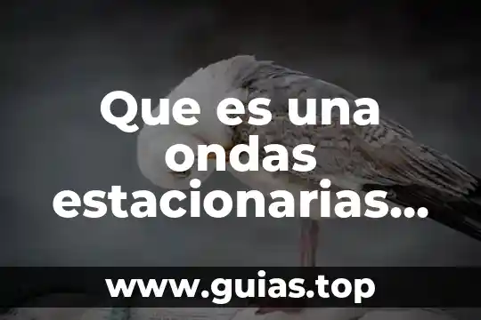 Que es analogia tipos y ejemplos 5 Que es una ondas estacionarias ejemplos
