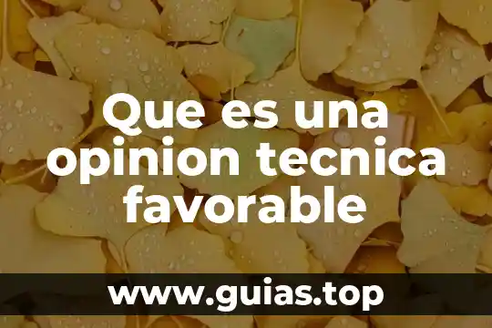 Que es una opinion tecnica favorable