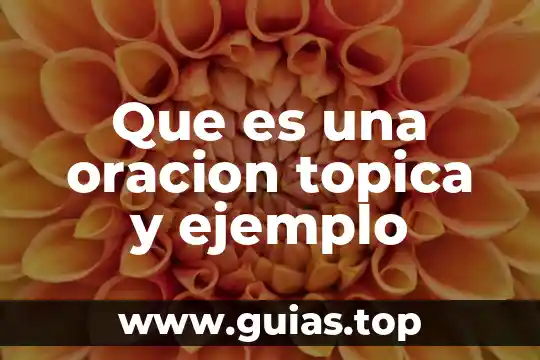 Qué es el sujeto en una oración y tipos 3 Que es una oracion topica y ejemplo