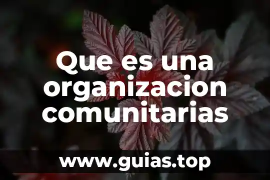 Qué es una organización económica definición 5 Que es una organizacion comunitarias