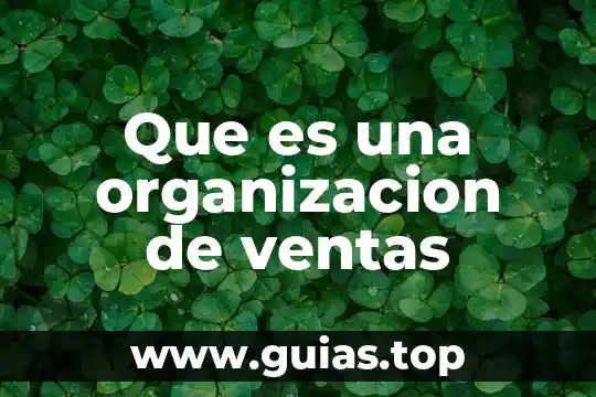 Qué es un método de trabajo en ventas 3 Que es una organizacion de ventas