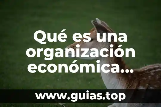 Que es organizacion que es la direccion en le proceso administrativo 7 Qué es una organización económica definición