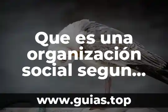 Que es la administracion segun da silva 6 Que es una organización social segun etica