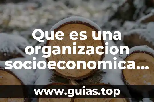 Qué es la necesidad en estructura socioeconómica 3 Que es una organizacion socioeconomica de mexico
