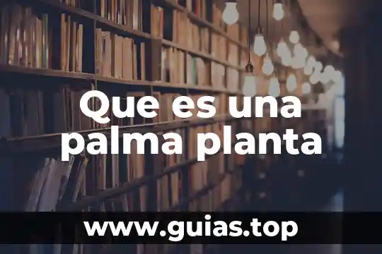 Que es la planta la vanda 4 Que es una palma planta