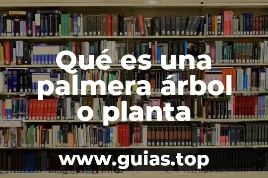 Xtreme gaming engine que es 7 Qué es una palmera árbol o planta
