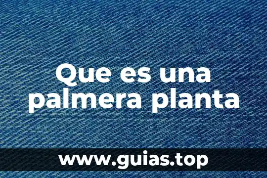 Molibdeno forma en que es absorbido en la planta 7 Que es una palmera planta