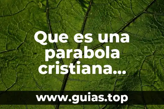 Qué es parábola concepto y ejemplos 5 Que es una parabola cristiana explicacion para niños