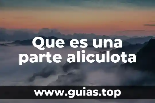 Que es ser cupping 6 Que es una parte aliculota