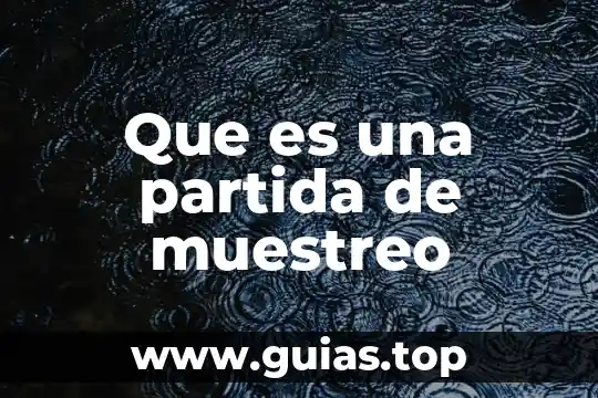 Que es el punto de partida en un texto 6 Que es una partida de muestreo
