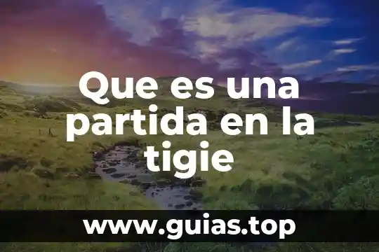 Que es el punto de partida en un texto 8 Que es una partida en la tigie