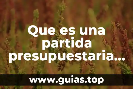 Qué es bueno para la rodadura de bebés 8 Que es una partida presupuestaria economia
