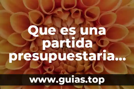 Que es el punto de partida en un texto 5 Que es una partida presupuestaria segun arrioja vizcaino