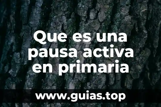 Que es la fuerza activa 3 Que es una pausa activa en primaria
