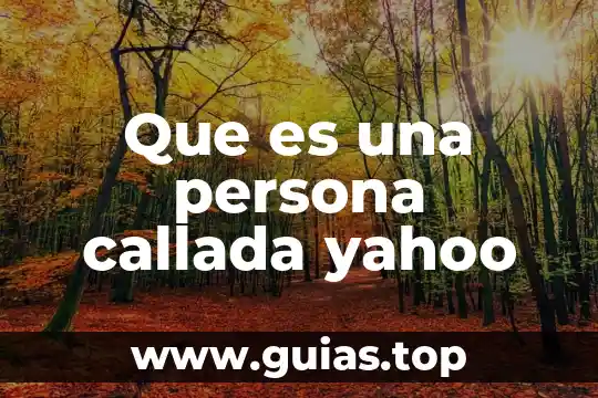 Que es el principio de pro persona 5 Que es una persona callada yahoo