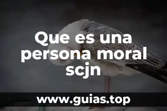 Que es un codigo moral y tipos 3 Que es una persona moral scjn