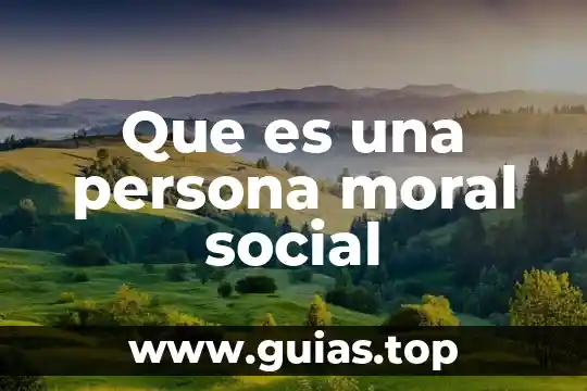 Que es una planta forma continental 6 Que es una persona moral social