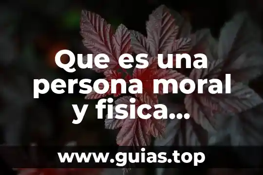Qué es un transistor tipos y diferencias ingeniería mecafenix 7 Que es una persona moral y fisica diferencias