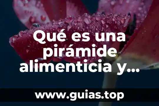 Que es un grupo social y cuantos tipos existen 3 Qué es una pirámide alimenticia y cuántos tipos hay