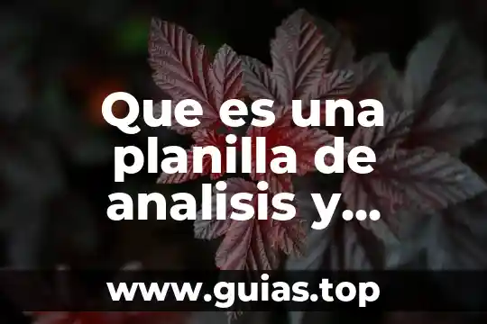 Qué es la unidad de análisis en una tesis 3 Que es una planilla de analisis y mejora