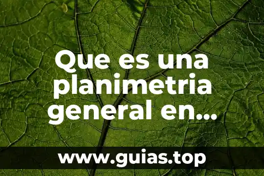 Que es una planimetria general en revit