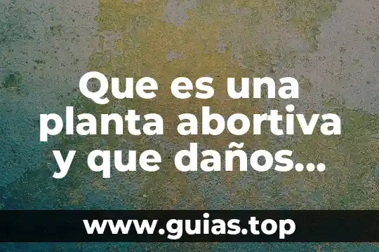 Que es el trato comun 3 Que es una planta abortiva y que daños provoca