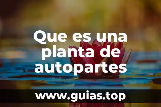 Que es un embrion en una planta 5 Que es una planta de autopartes
