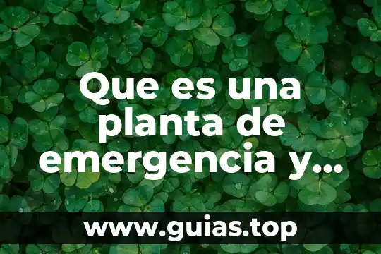 Que es el tiempo extra de emergencia 5 Que es una planta de emergencia y para que sirve