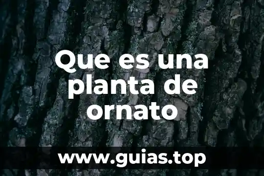 Que es lo que suena en los libros 8 Que es una planta de ornato