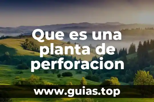 Molibdeno forma en que es absorbido en la planta 3 Que es una planta de perforacion