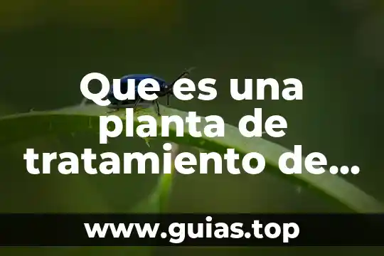 Que es la variabilidad en procesos industriales 4 Que es una planta de tratamiento de aguas industriales