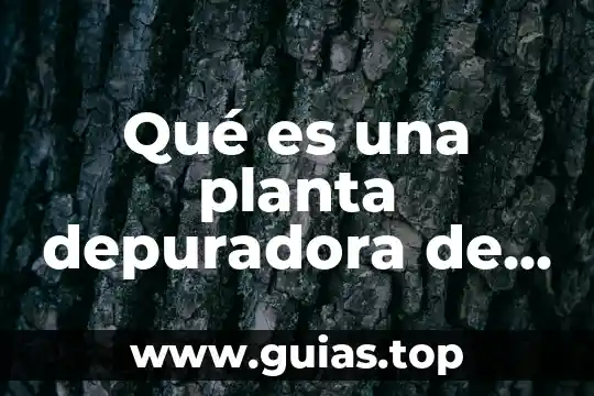 Que es extension en marketing 8 Qué es una planta depuradora de aguas