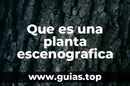 Qué es aptitud de una planta 7 Que es una planta escenografica