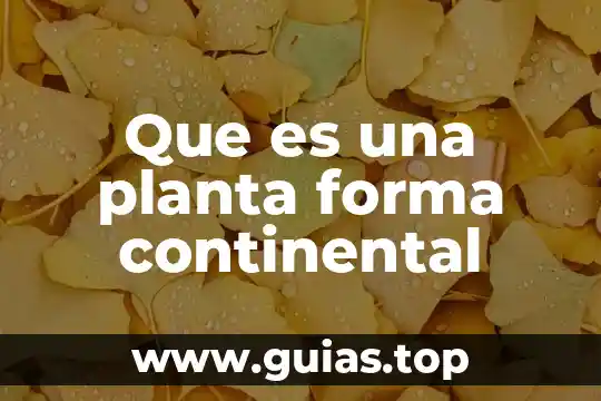 Que es un elemento quimico ejemplos yahoo 4 Que es una planta forma continental