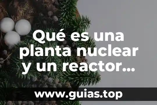 Que es el codigo nuclear 3 Qué es una planta nuclear y un reactor nuclear
