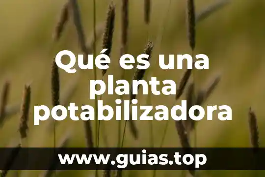 Qué es un planta generadora de electricidad 7 Qué es una planta potabilizadora